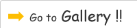 Go to Gallery!!